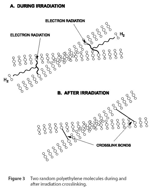 irradiated polymer crosslinking