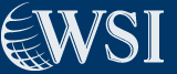 WSI emagination
