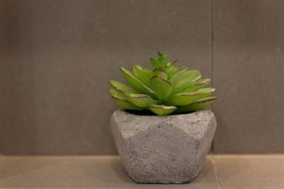 Charming succulent in stone pot bathroom accessory in a bathroom renovation by Adelaide Bathrooms