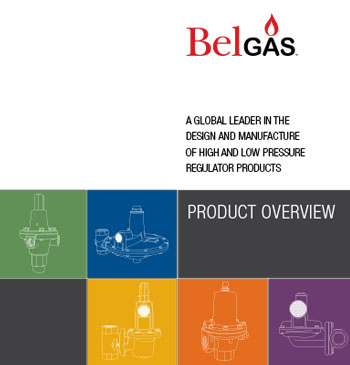 BelGAS Literature