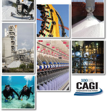 CAGI Brochure