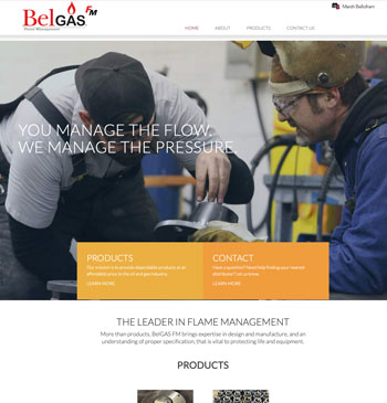 BelGAS website