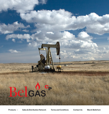 Belgas CP Website