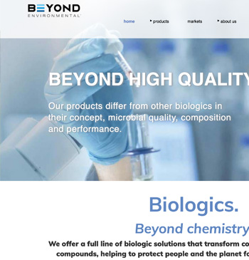 Beyond Environmental