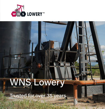 WNS website