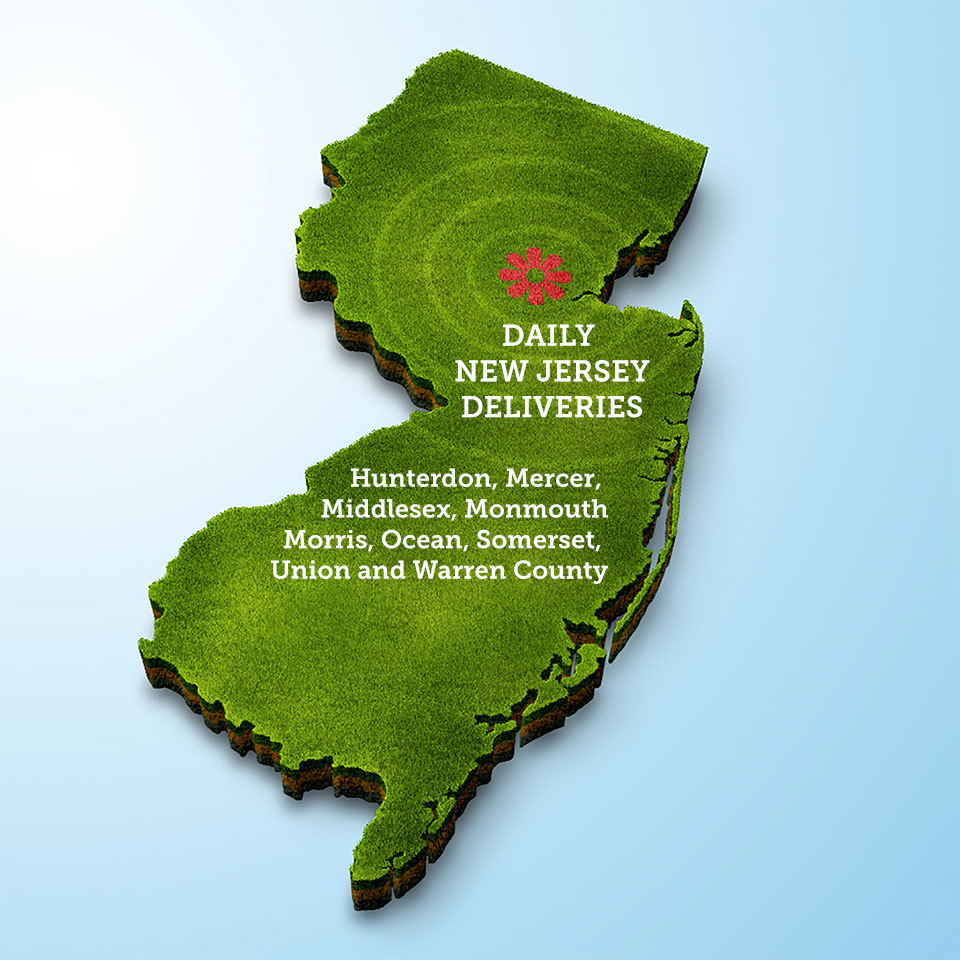 NJ Delivery Area