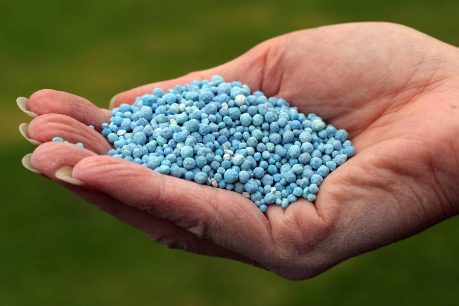 a handful of blue granules