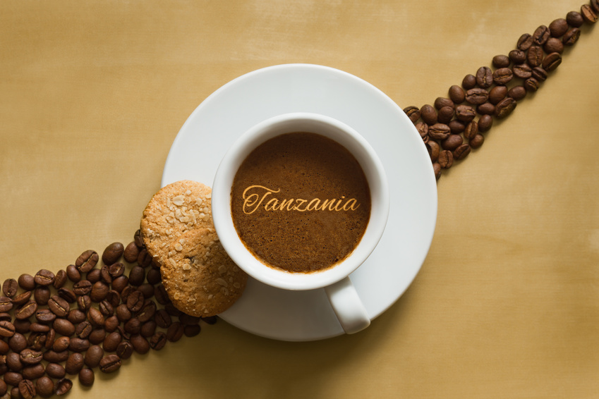 Cafe Tanzanie Aa Kilimandjaro 250 Grs