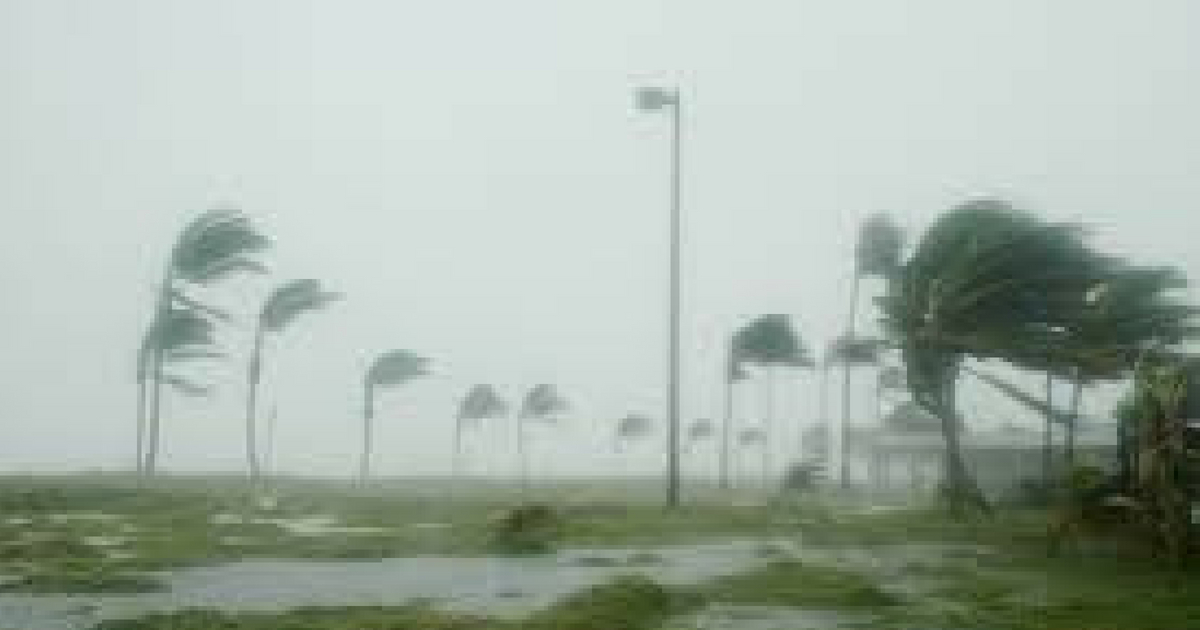 Fermetures : les mesures de protection en cas de cyclone | Samir Industrie Martinique