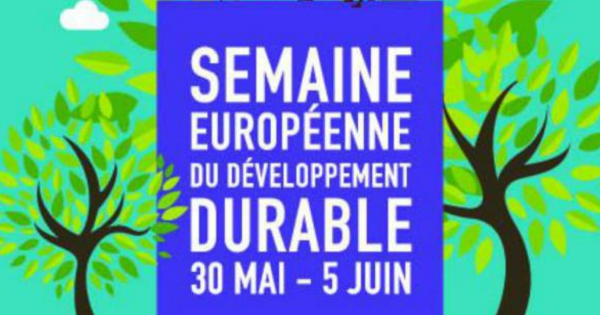 SAMIR et le DÉVELOPPEMENT DURABLE