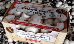 Champimar