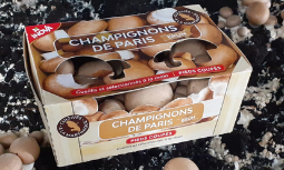 Champimar
