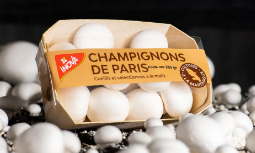 Champimar