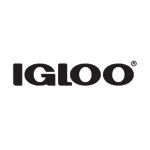 Igloo