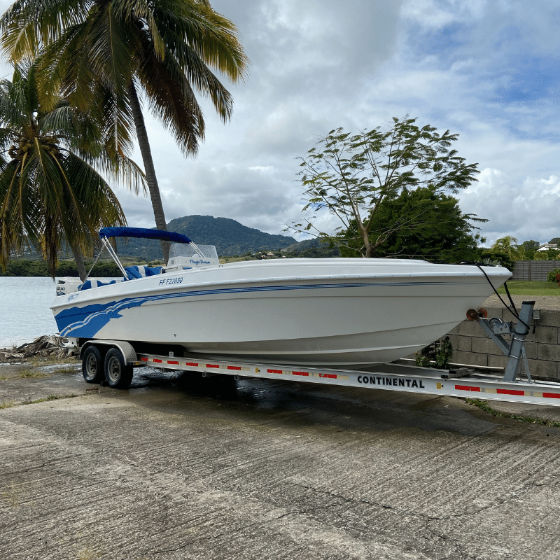moteur-suzuki-300-marine-import-services-1