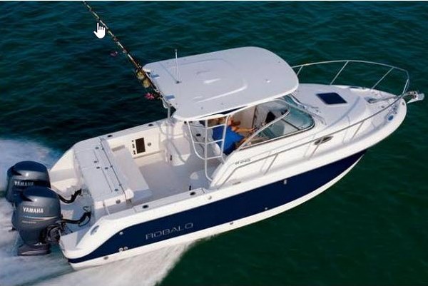 Bateau Robalo Walkarounds R245