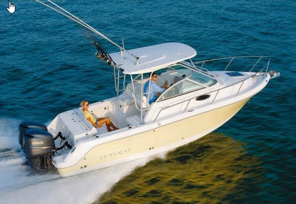 Bateau Robalo Walkarounds R265
