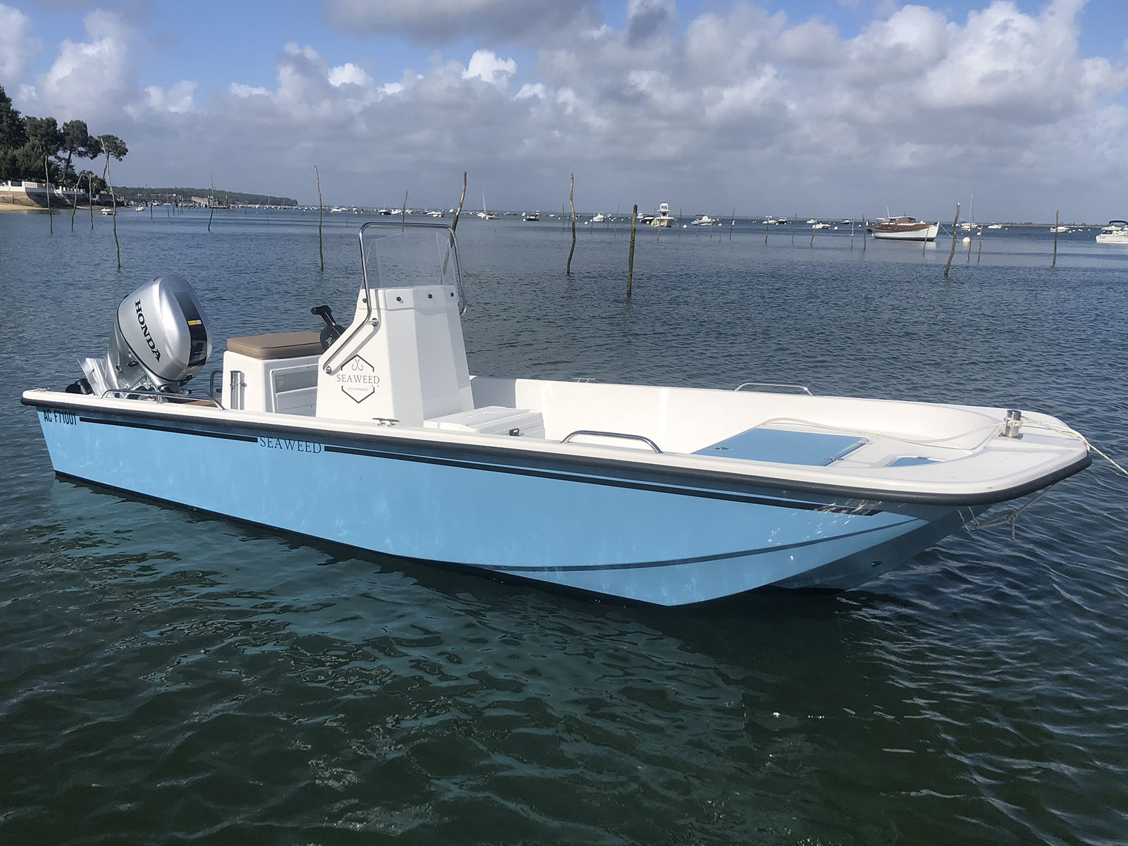 Bateau Seaweed 535
