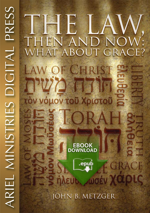 The Law, Then and Now: What About Grace? (epub)