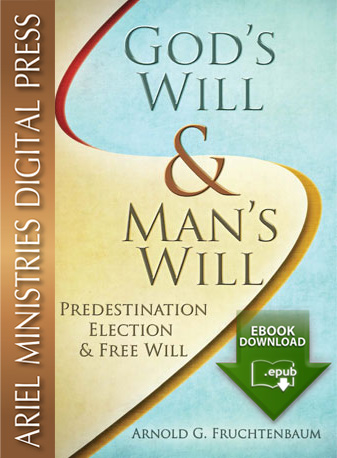 God's Will, Man's Will (epub)