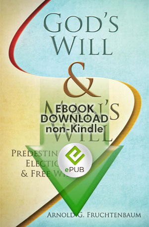 God's Will, Man's Will (epub)