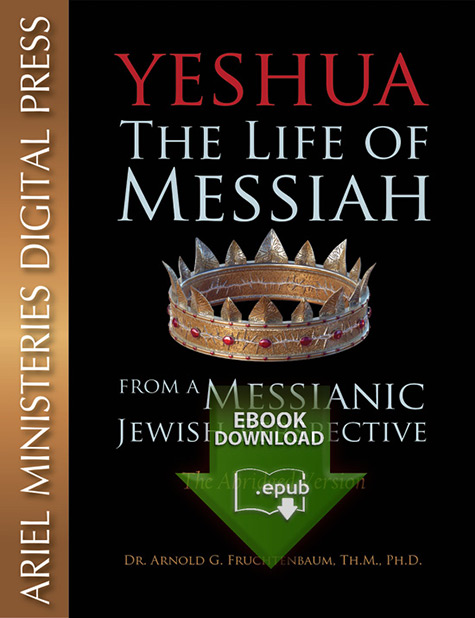 Yeshua - The Abridged Version (epub)