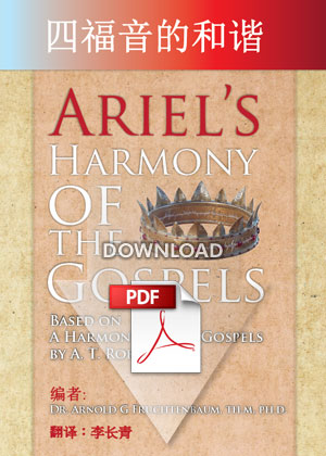 Ariel's Harmony of the Gospels (Chinese - PDF)