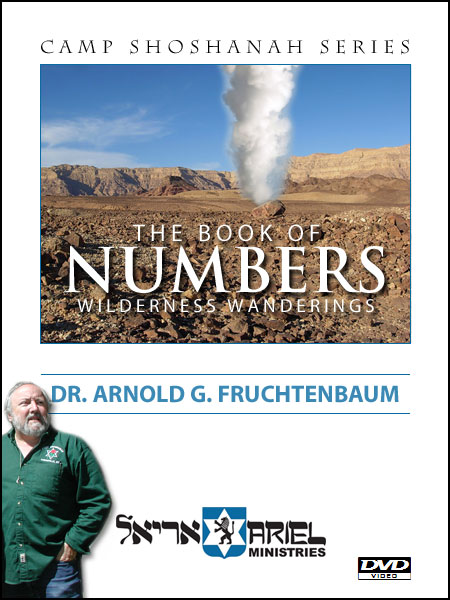 The Book of Numbers - DVD