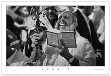 Sukkot - Art Poster