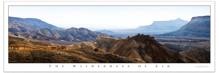 The Wilderness of Zin - Art Poster