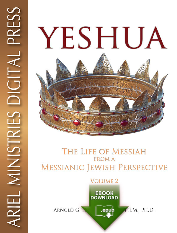 Yeshua - Vol.2 (epub)