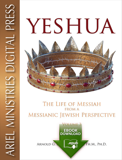 Yeshua - Vol.3 (epub)