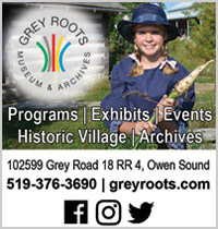 Grey Roots Ad with young girl in costume.