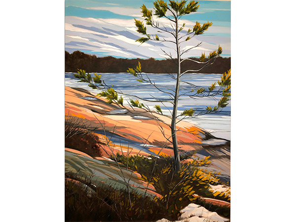 painting of rocky shore and evergreen trees.
