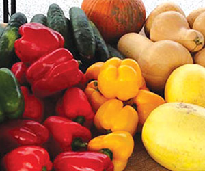 fresh local farmers' market vegetables