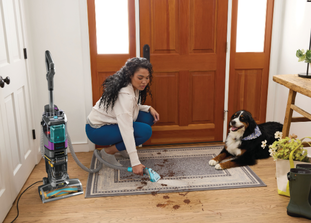 CarpetXpert