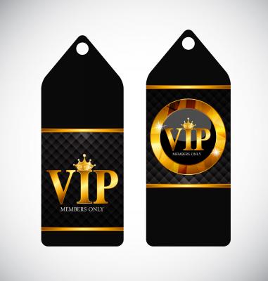 Unleashing the Potential: How a VIP Program Can Boost Your Business Revenue