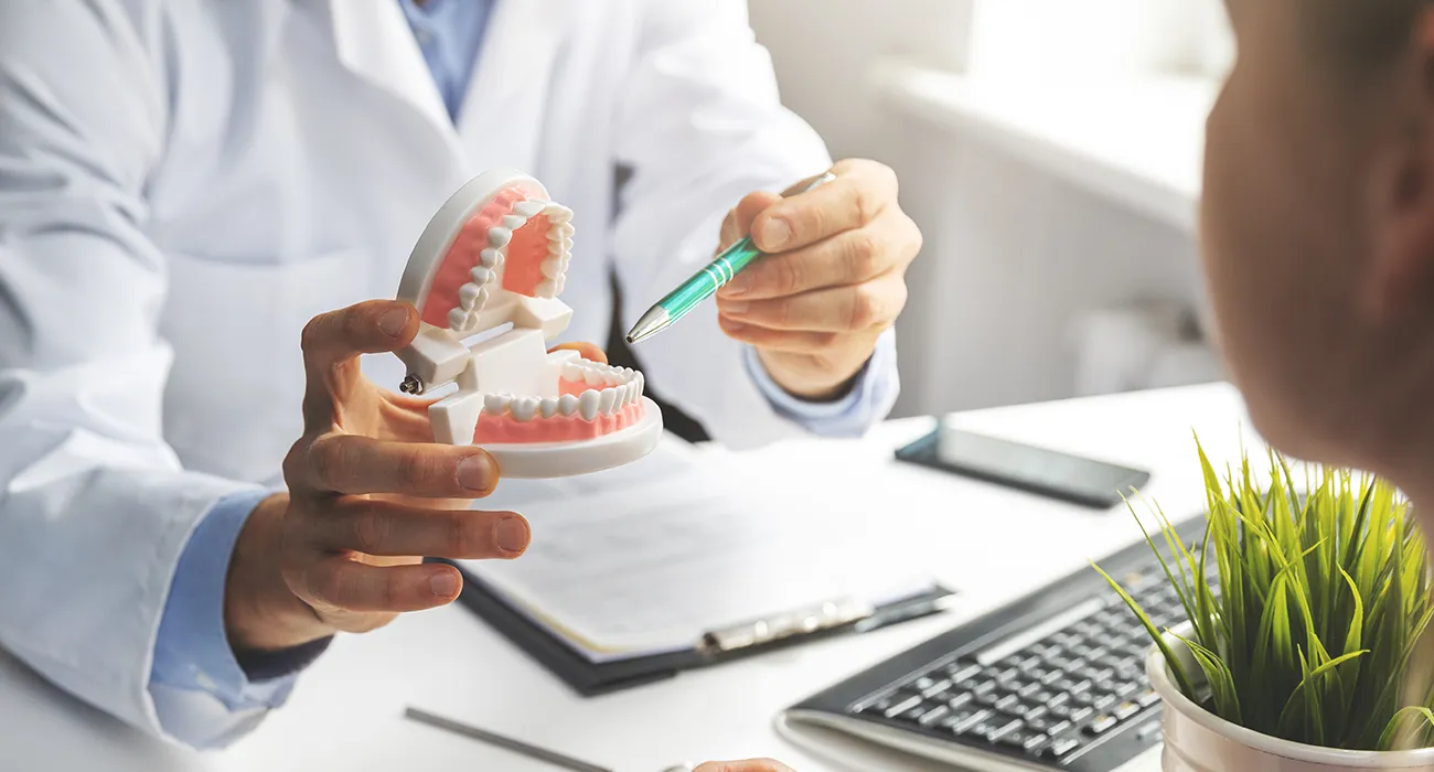 dentist showing display of teeth
