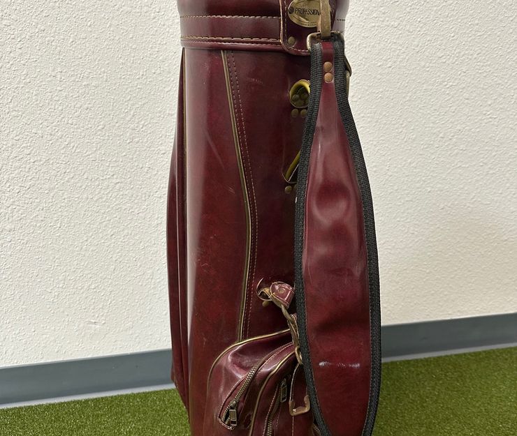 Vintage Faux Reptile Leather Golf Bag For Sale at 1stDibs