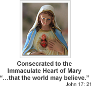 Consecrated to the Immaculate Heart of Mary...that the world may believe. John 17:21