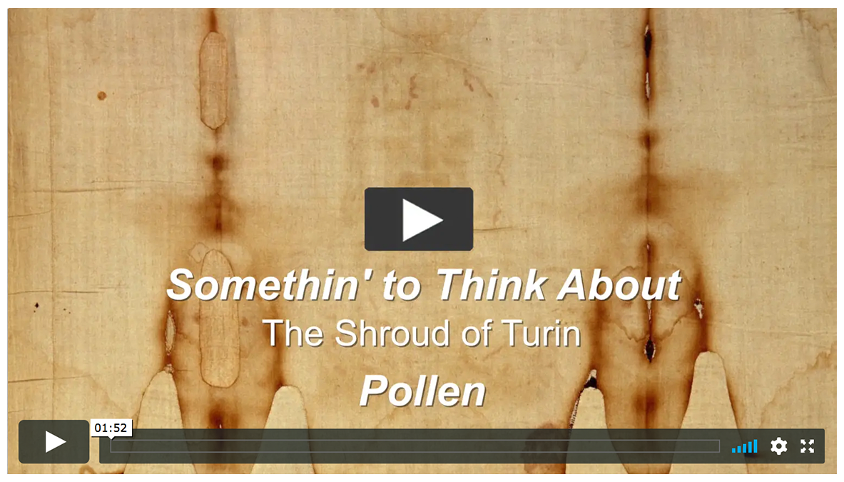 Pollen