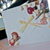 Wedding Planners in Tampa
