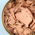 Tuna - Chunk Light Meat in Water