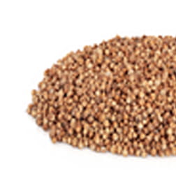 Coriander Seed - Cracked