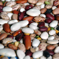 Beans - Baby Lima