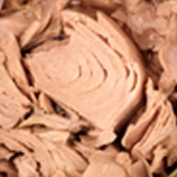 Tuna - Chunk Light Meat in Water