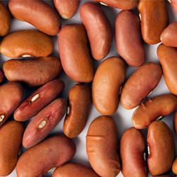 Beans - Kidney