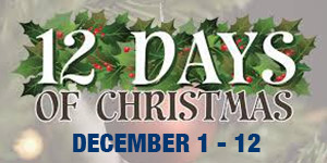 12 Days of Christmas Online Auction December 1 - 12