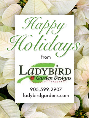 Ladybird wish you Happy Holidays.