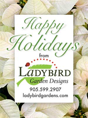Ladybird wish you Happy Holidays.